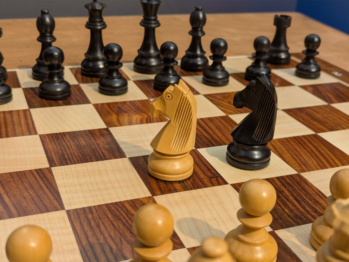 Juego de ajedrez de madera de 21 x 21 pulgadas - Cuadrado 55 mm - Madera de palisandro dorado y arce || Piezas de ajedrez de madera Staunton clásicas de 3,9" hechas de madera de ébano puro y boj - King Size 3,9"