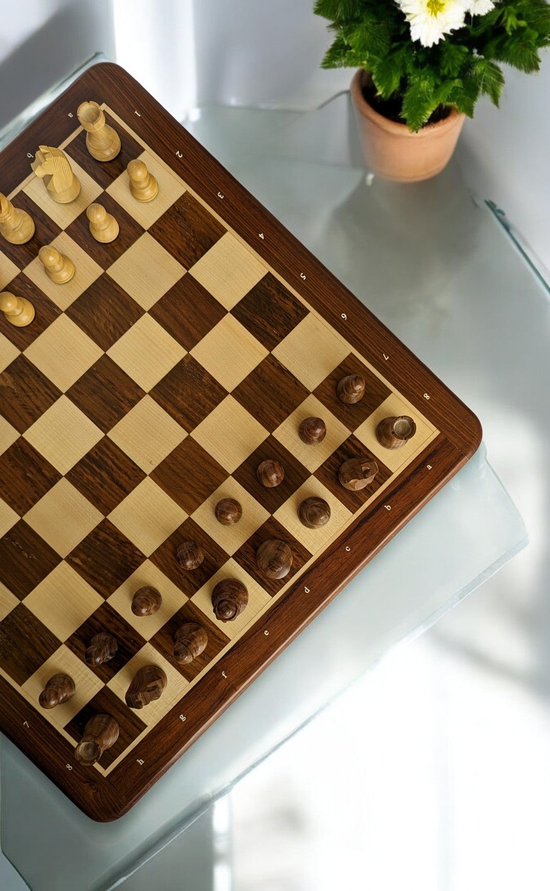 21" x 21" Wooden Chess Set with NOTATIONS - Square 55 mm - Golden Rosewood and Maple wood || 3.75" Staunton German Knight Standard Series Chess Pieces