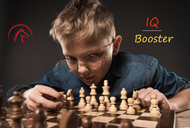 14 x 14 inch ENTERRO™ Wooden Chess Board Set with NOTATIONS and 2 Extra Queens - Magnetic Folding & Travel Friendly Chess Set